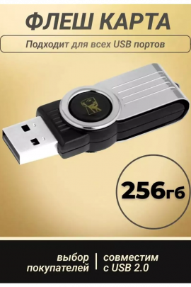 Флешка Кингстон USB 3.0 256 ГБ 60741