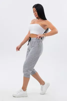 Бриджи Ричи-Серый меланж