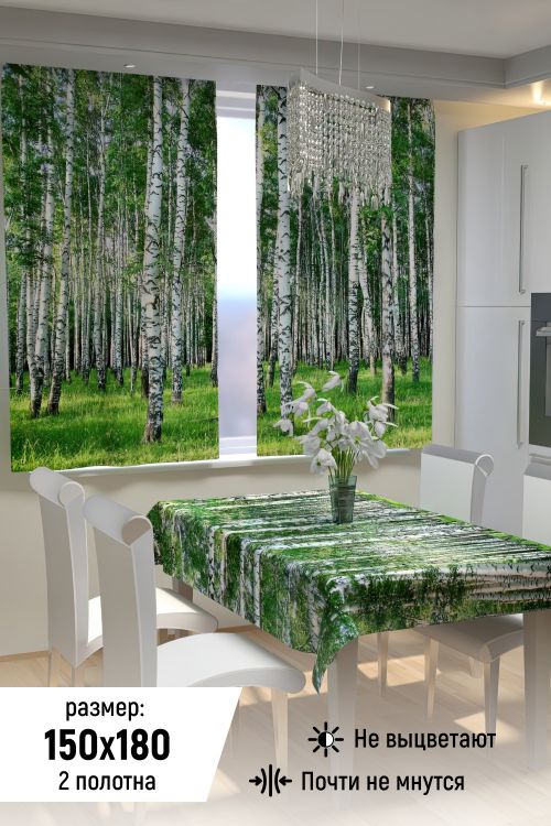 Фотошторы для кухни 10847
