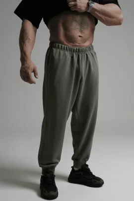 Леон брюки мужские (оливковый)