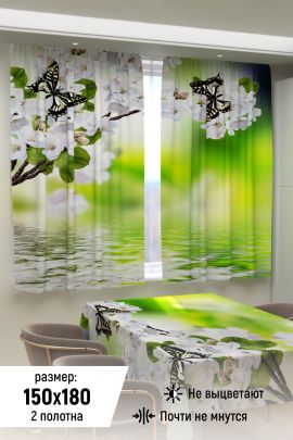 Фотошторы для кухни 10854